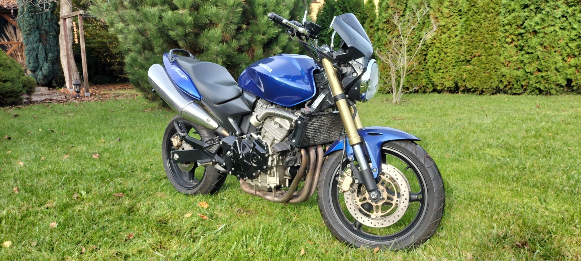 CB600F Hornet 2005r