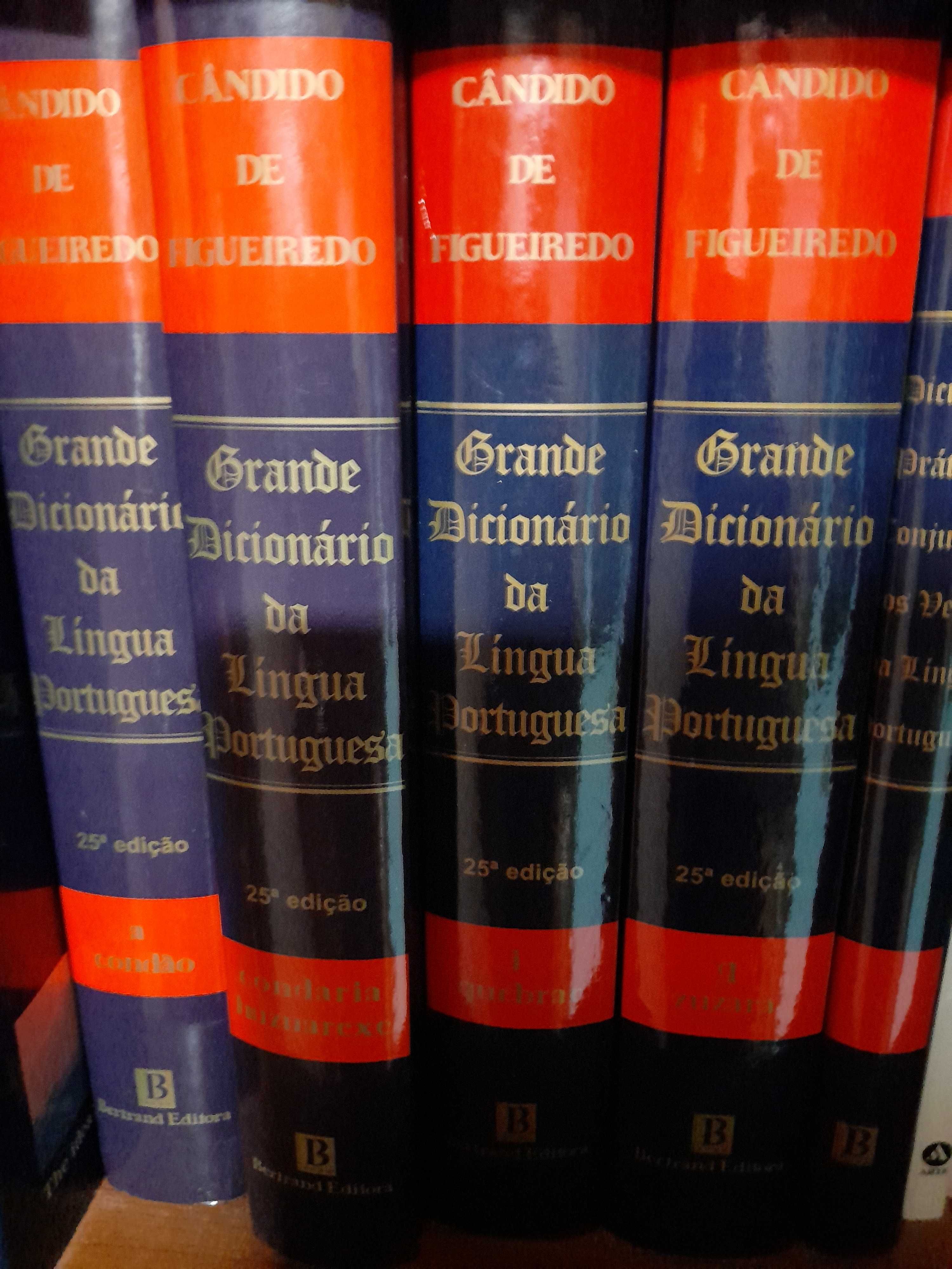 Grande Dicionário da Língua Portuguesa Cândido de Figueiredo