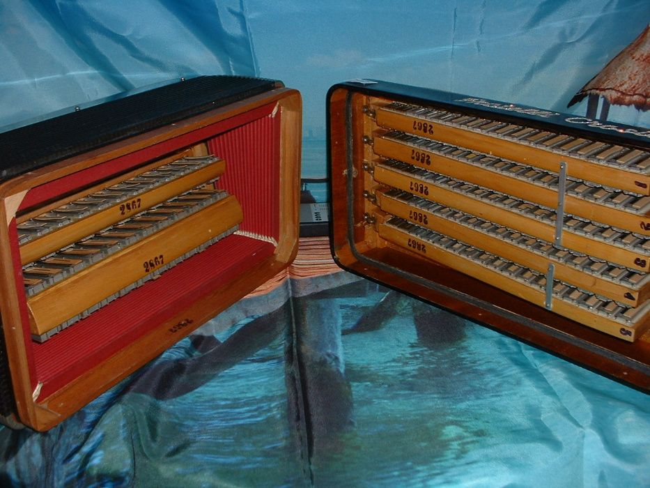 Acordeão Avenda G, .227