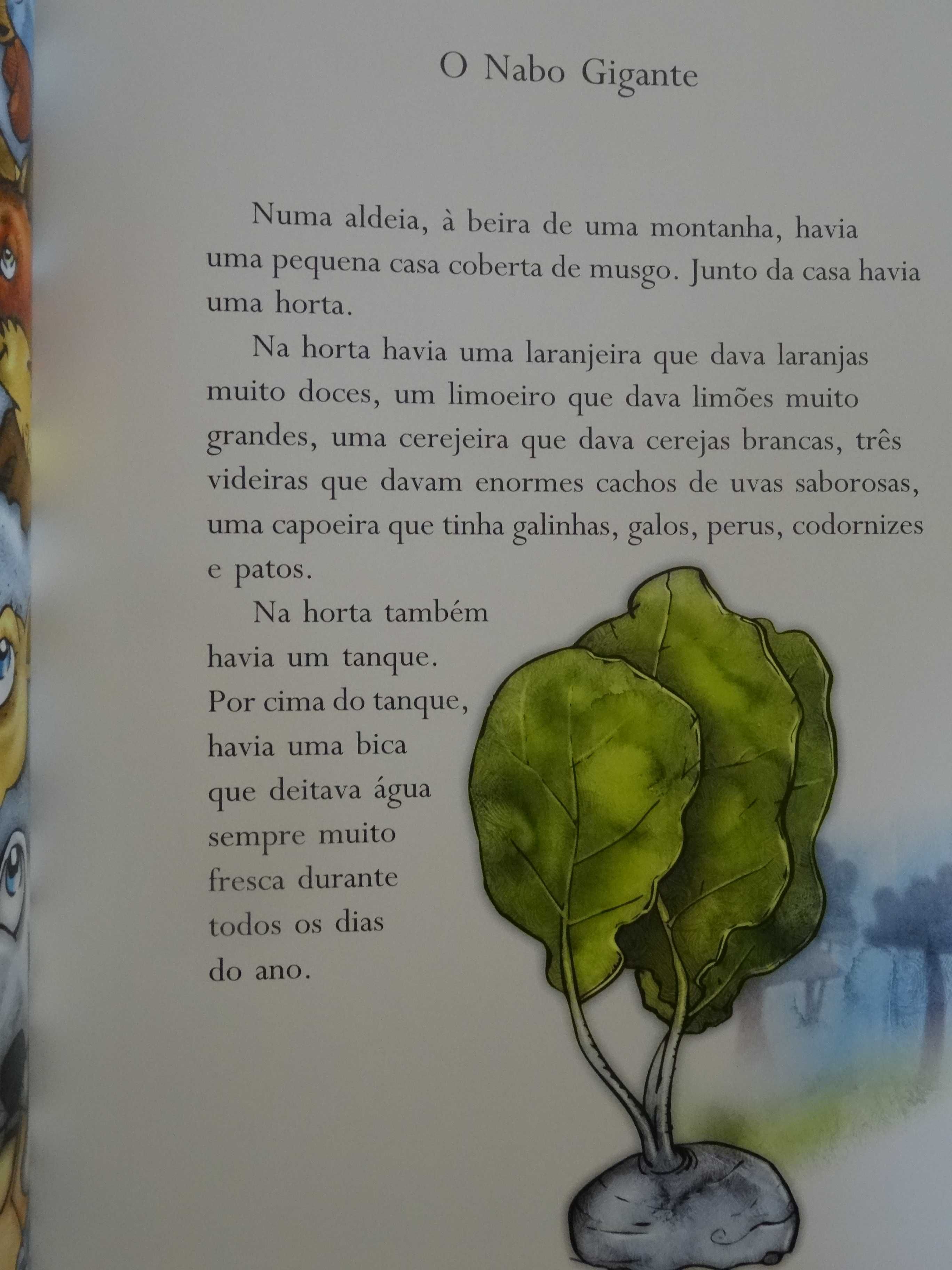 Contos Tradicionais recontados por António Mota