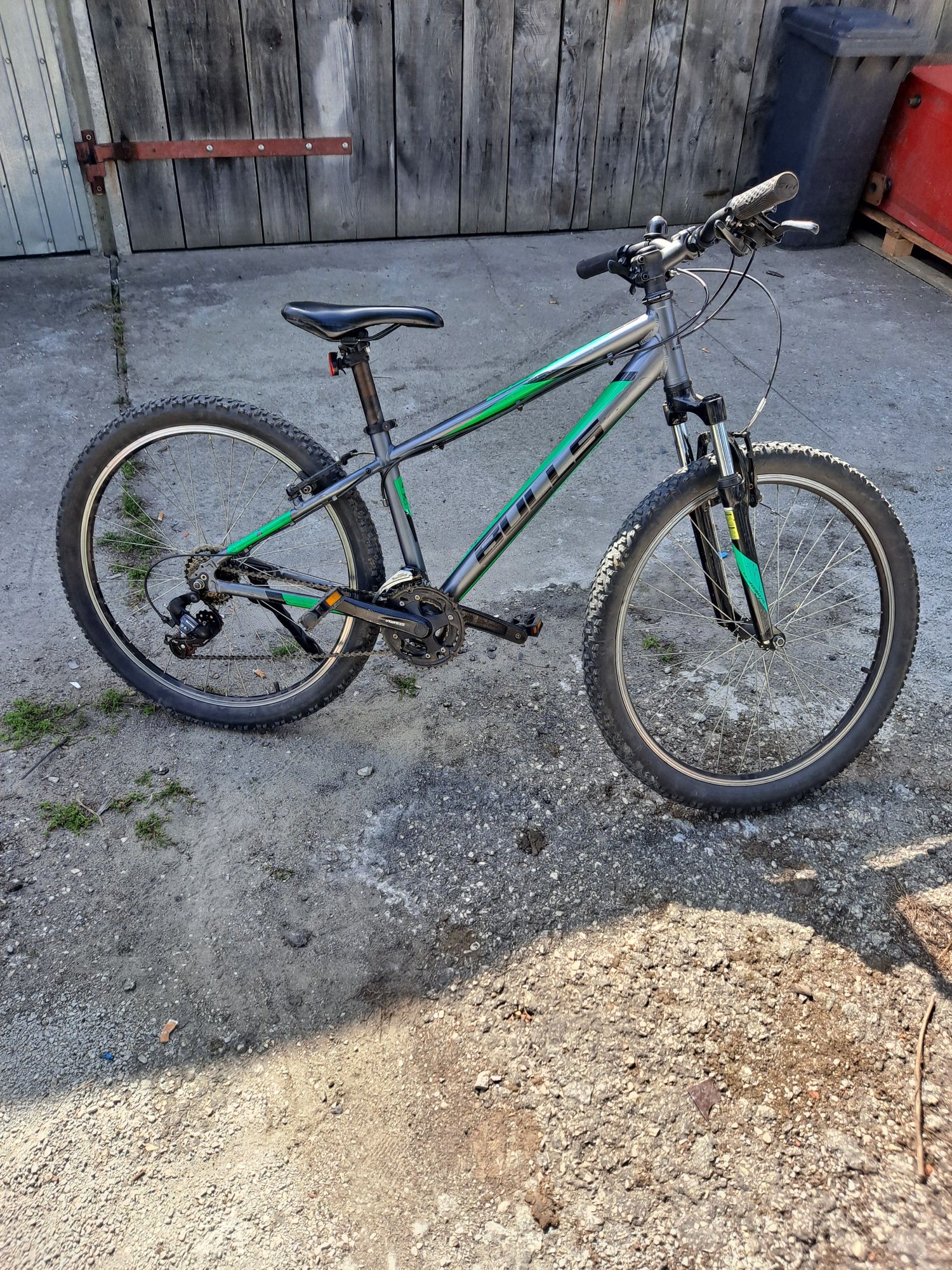 Rower Bulls Pulsar