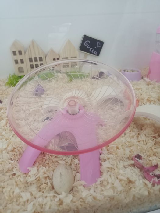 Karuzela dla chomika