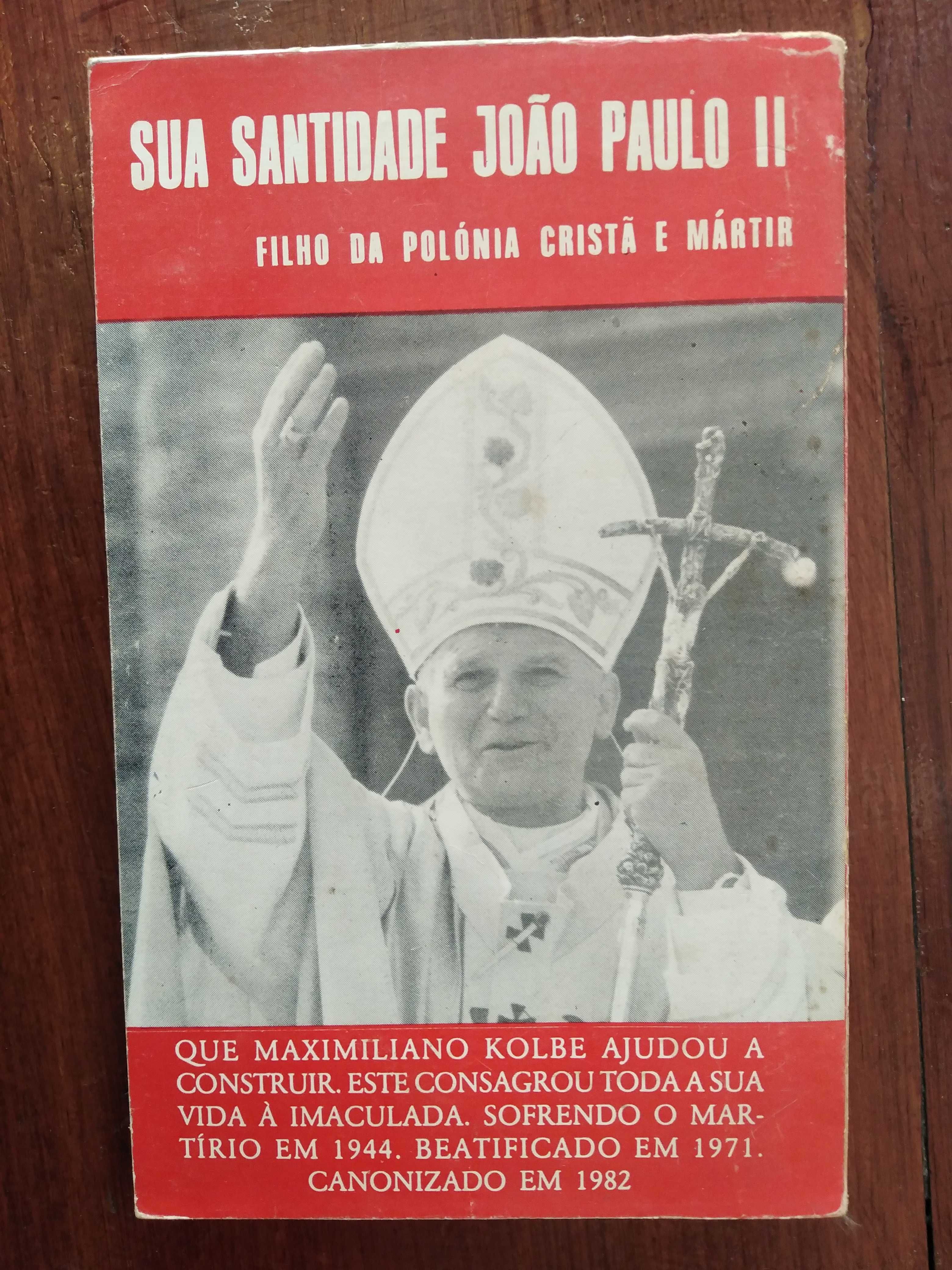 Maria Winowska - Maximiliano Kolbe, construtor da Polónia Cristã
