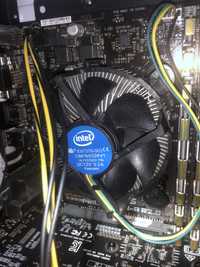Intel Pentium Gold G5400 з кулером