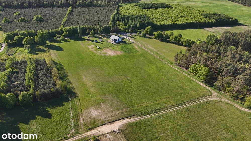 Działka 3000m² w pobliżu lasu - idealna na agroturystykę