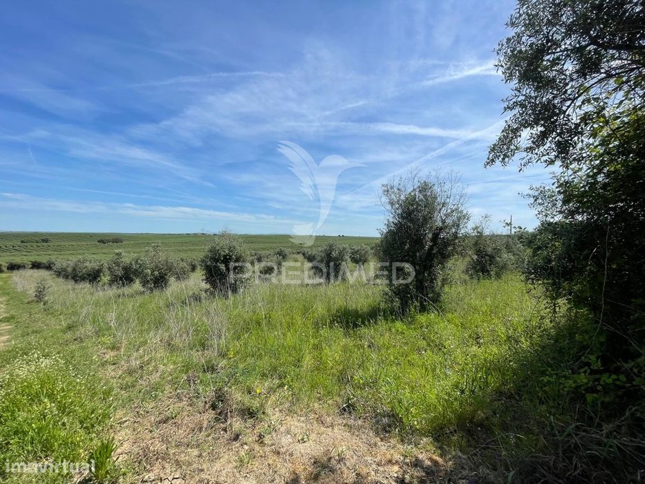 Terreno perto da Vila de Avis