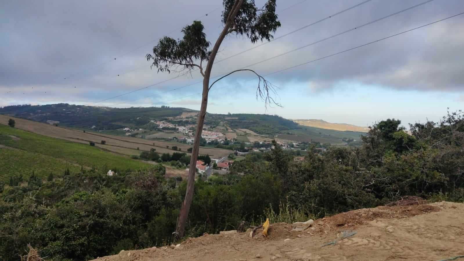 Terreno Urbano 642m2 com água, Luz e Comunicações à entrada.