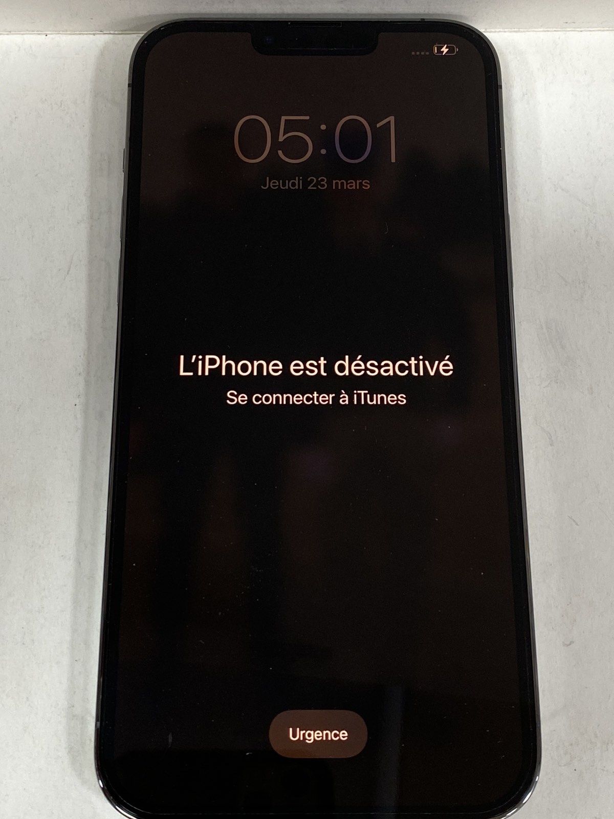 iPhone 13 pro max.