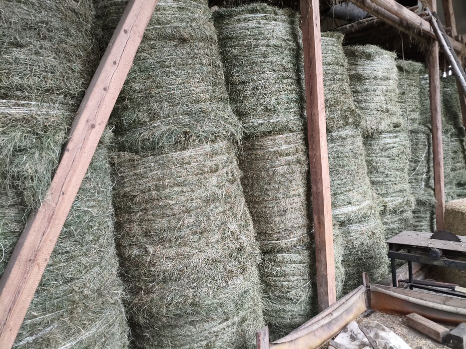 Siano SUPER JAKOŚĆ 130x120 po pasówce 1 i 2 pokos oraz sianokiszonka 2