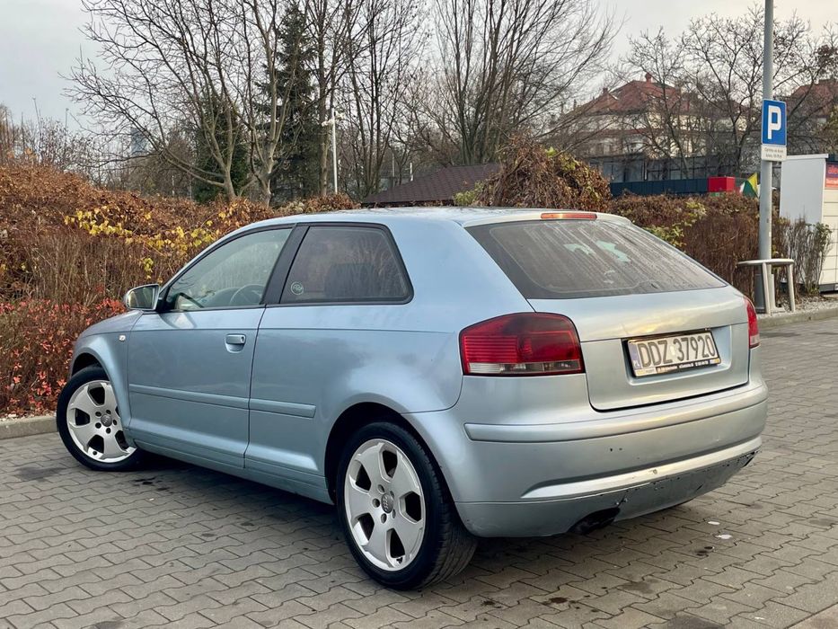 Audi A3 8P 1.9TDI // Alu // Skora // Szyber // Nowy Dwumas // Super