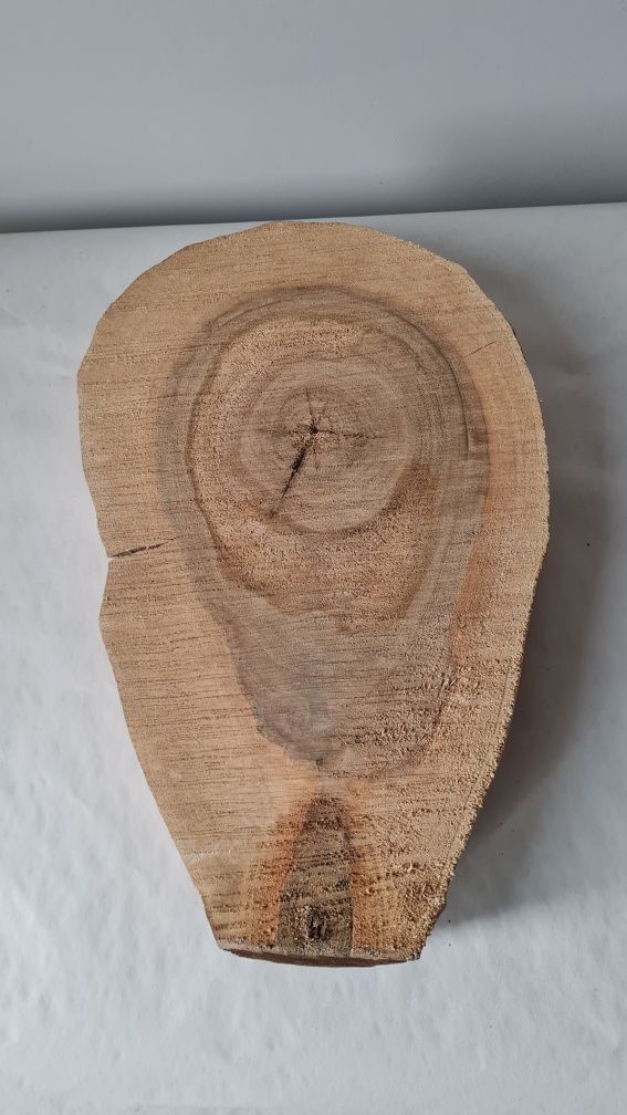Plaster, krążek orzech włoski