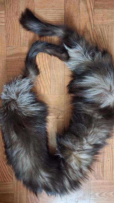 Kołnierz ozdobny z lisa.