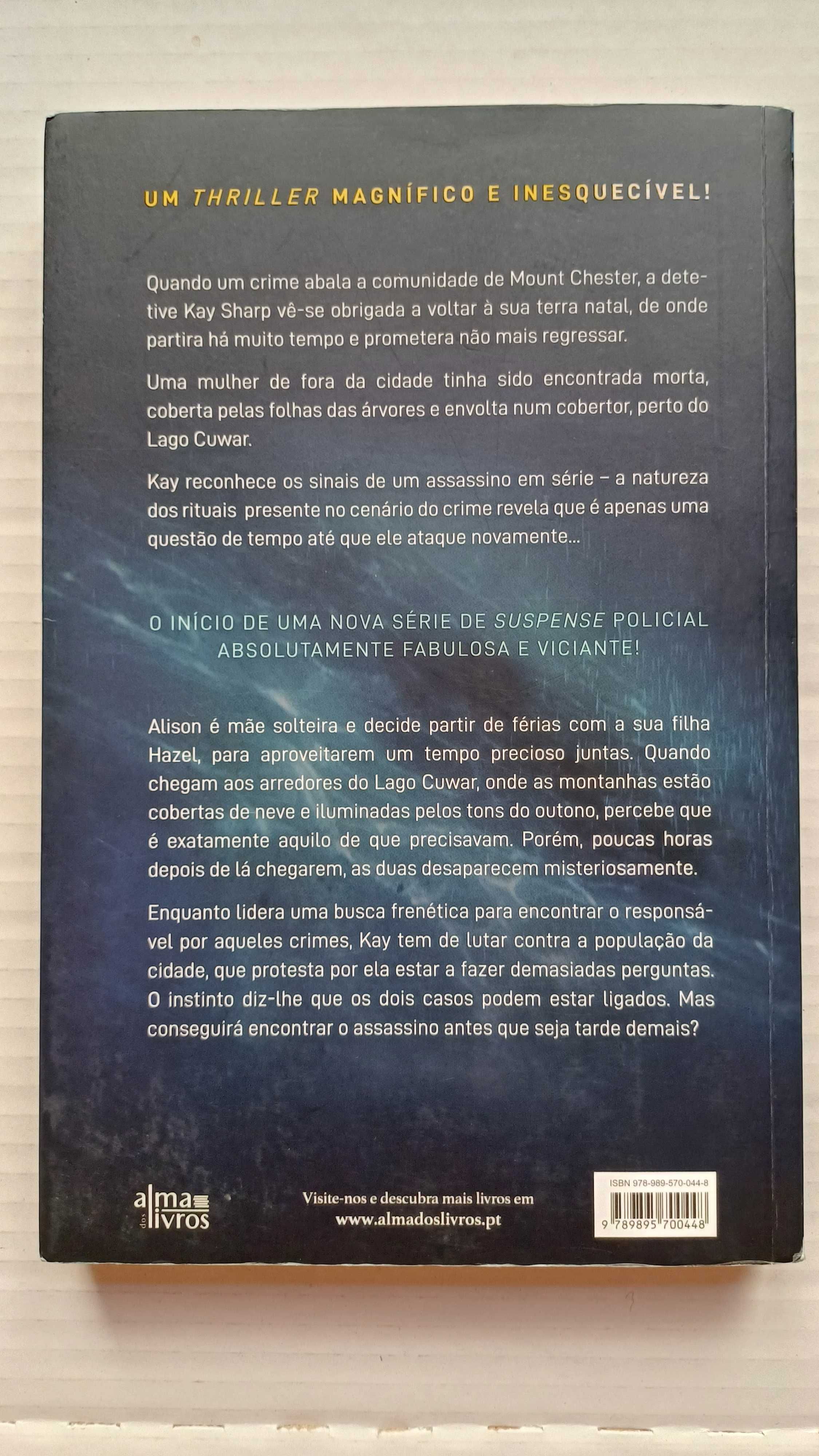 A Rapariga do Lago Silencioso