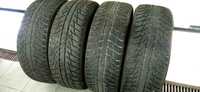 Opony NOKIAN WR D3 225/65/17