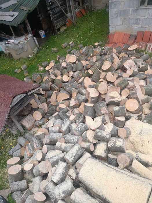 Rąbanie i Cięcie Drewna oraz Wycinka