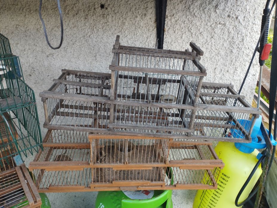 Alçapões normais e automáticos