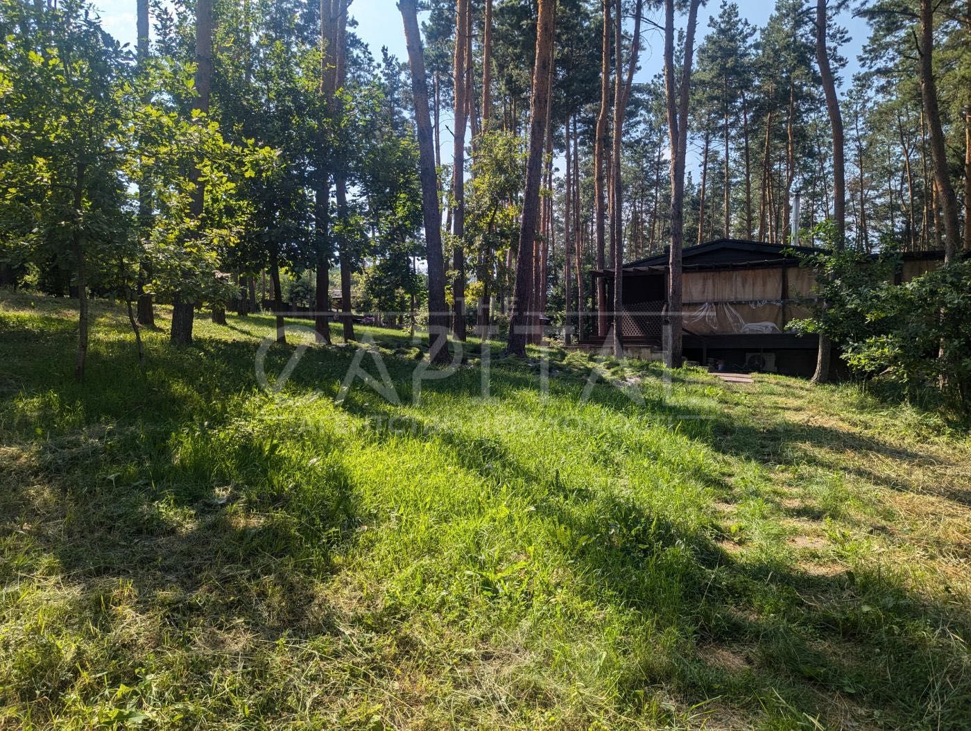 продаж будинку у Ходосівці, тераса 150м2, 35 сот. землі з лісом, озеро