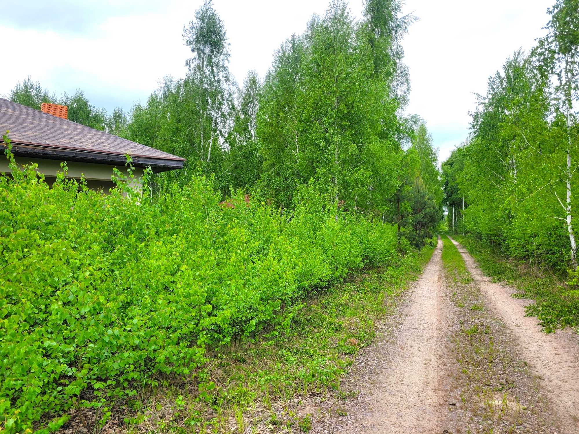 Ділянки 12,73 га з озером та лісом с. Гавронщина, 40 хв від Києва!