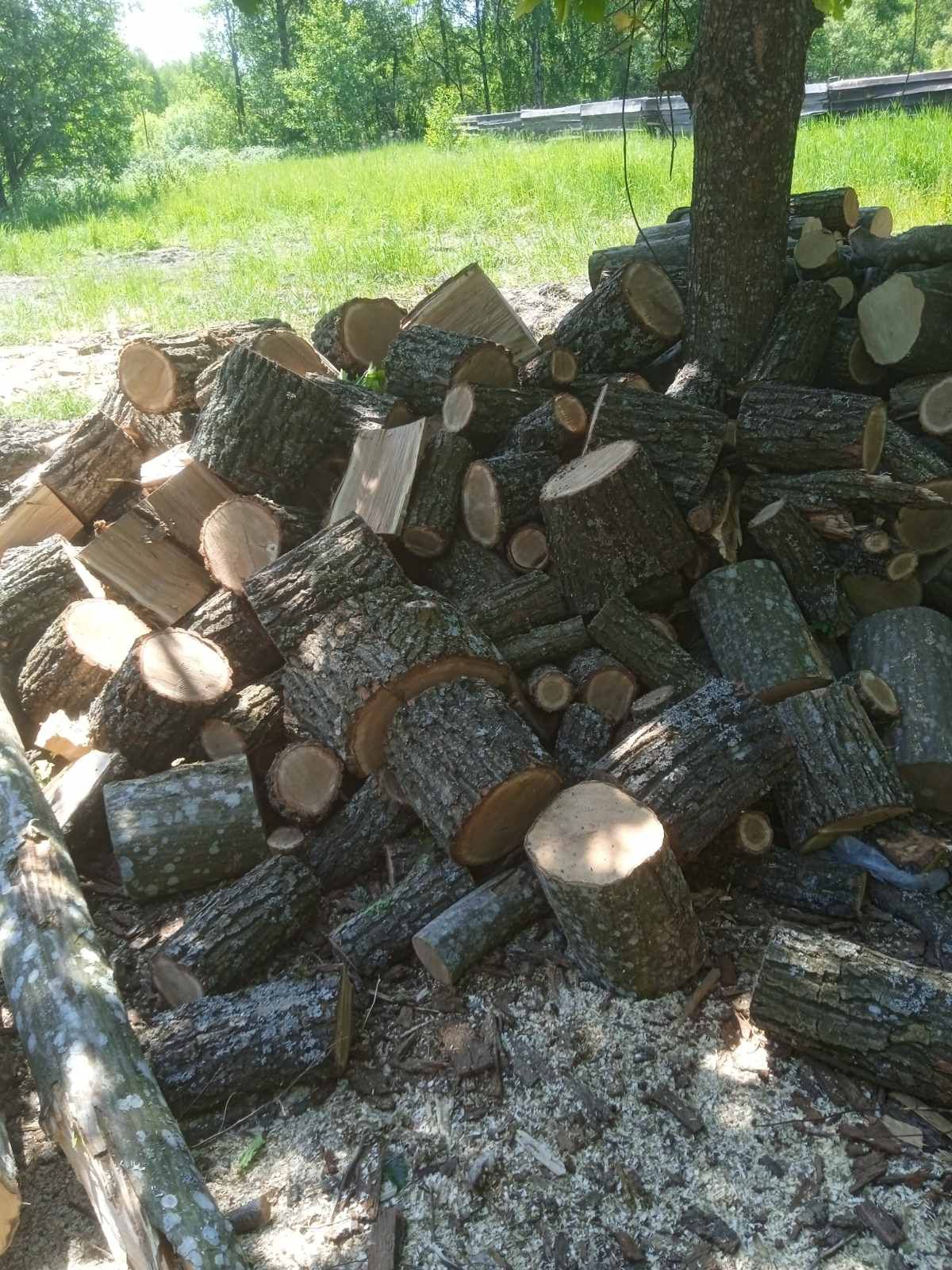 Продам дрова різних порід з доставкою