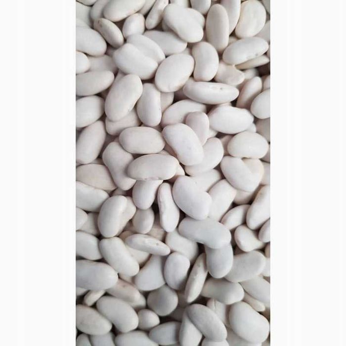 Fasola Piękny Jaś Kontra-2025r