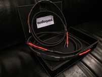 AudioQuest Rocket 44 kable głośnikowe konfekcja Trans Audio Hi-Fi