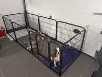 Parque  para cão – modular e ajustável