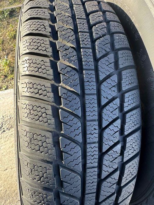 Зимові шини Evergrin 195/70 R14