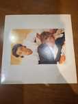 Discos vinil impecáveis