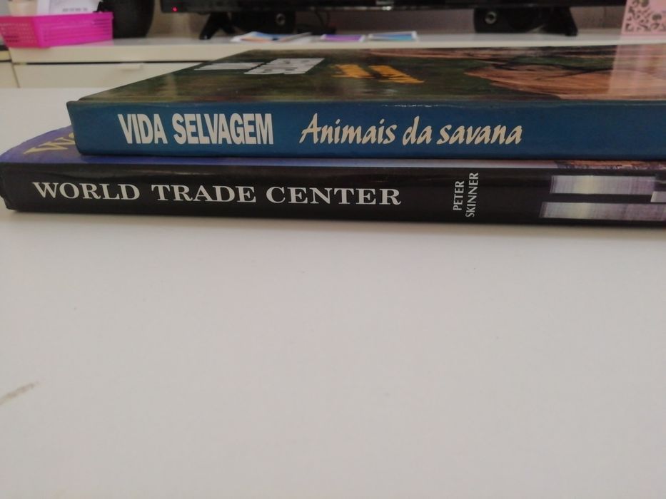 World trade center, vida selvagem e outros