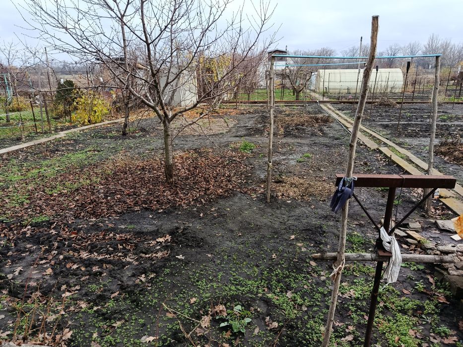 Дачный участок с огородом. Вольный посад