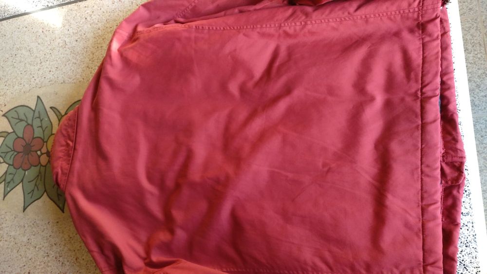 Casaco Lion of Porches