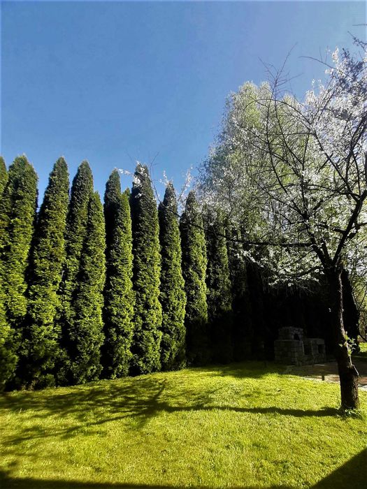 pokój na Brzezinach