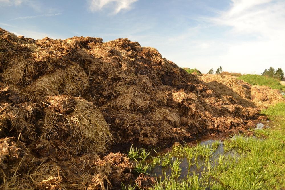 Wapno nawozowe Węglanowe 50% CaO/Magnezowe/Tlenkowe/Pomiot Kurzy