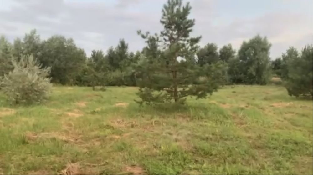 Продам участок со своим берегом в СМТ Обуховка( Кировское)