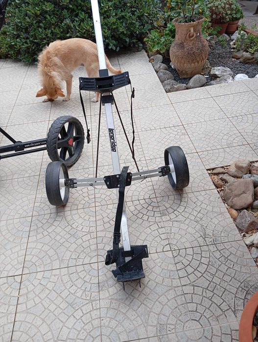 trolleys para golfe