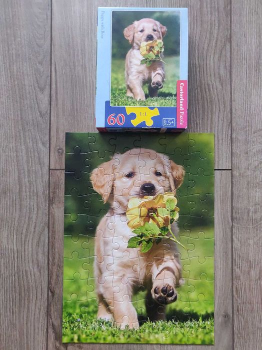 Castorland пазл "Щенок с розой"(Польша) 60 элем. 32х23 см, новый.