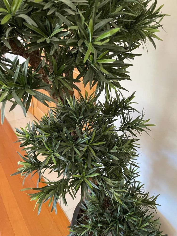 Planta Artificial - Podocarpus com Vaso decorativo