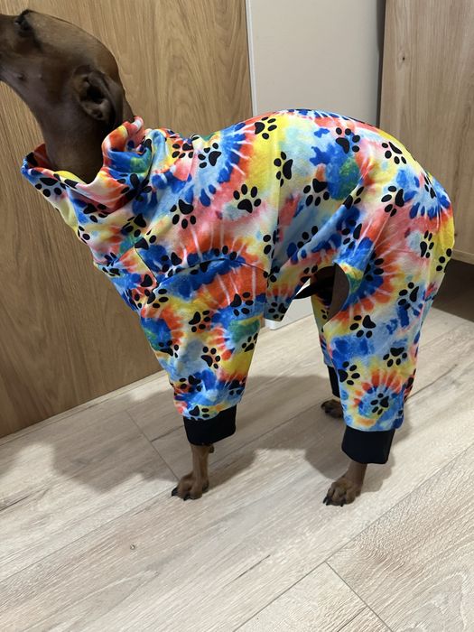 Piżamka dla psa charcik włoski, whippet