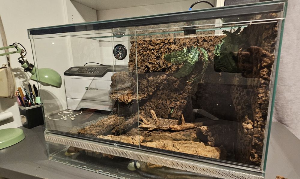 Terrarium 60x40x40 dla gekona z wyposażeniem