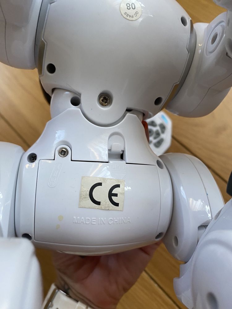 Robot Interaktywny Pies Zdalnie Sterowany Programowanie