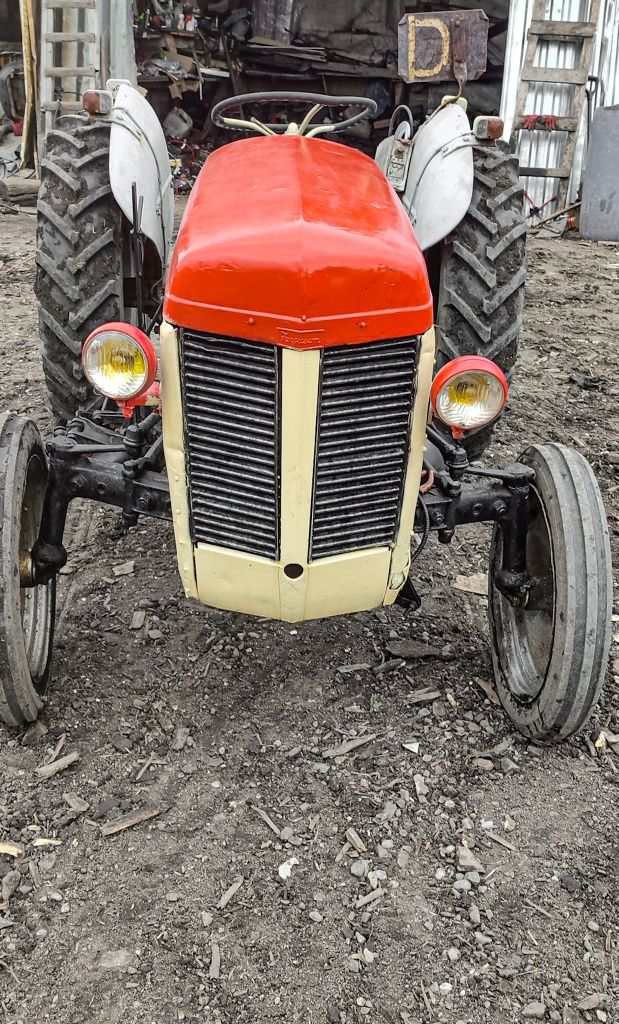 Massey Ferguson t25 ciągnik rolniczy / ogrodniczy