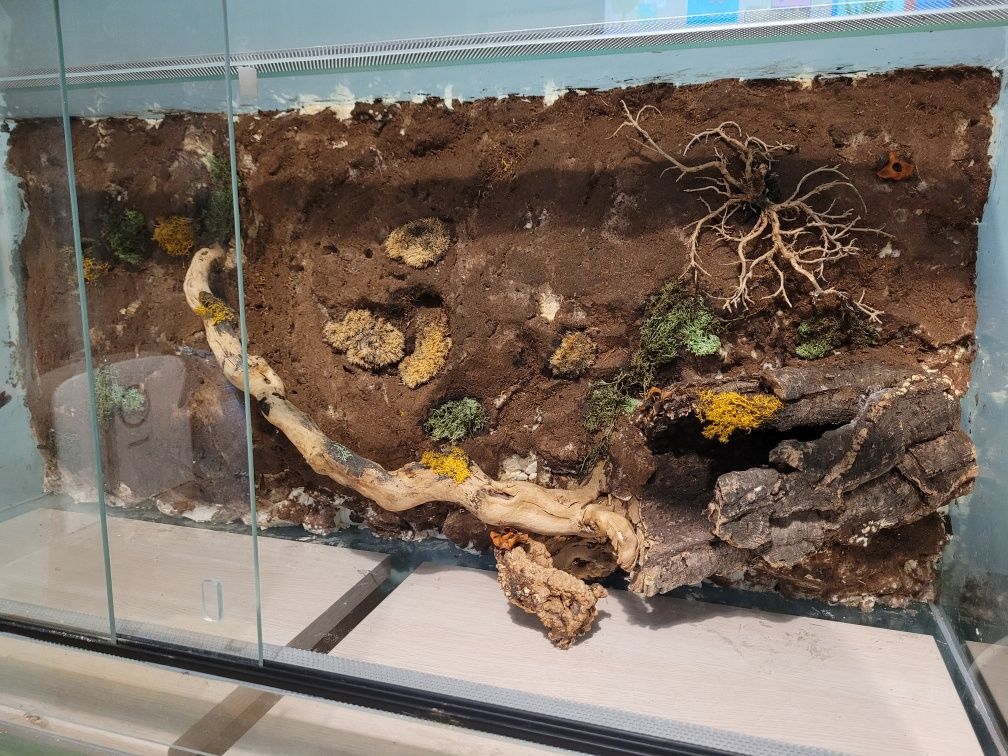 Terrarium dla węża kameleona gada gadów jaszczurki gekona agamy 110cm