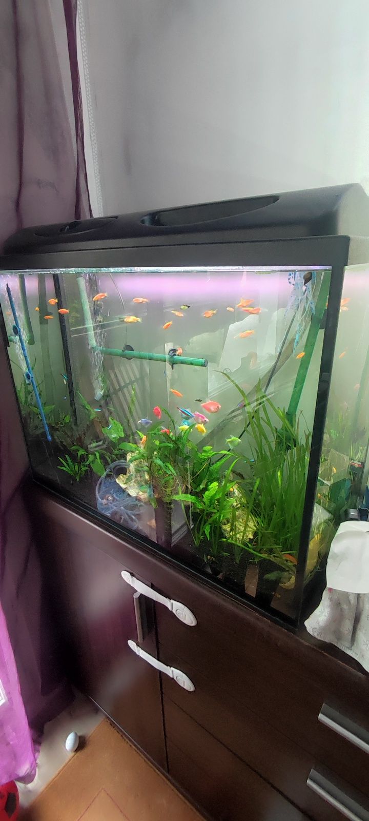 Sprzedam akwarium 170l z filtrem