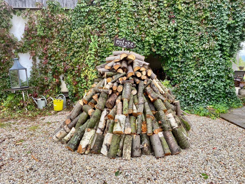 Drewno na opał: czereśnia, brzoza, osika, jesion