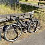Gravel Diamant Campagnolo Chorus karbon