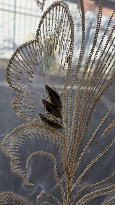 Продам гарну тюль в чудовому стані