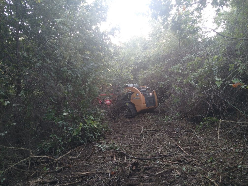 Limpeza de terrenos