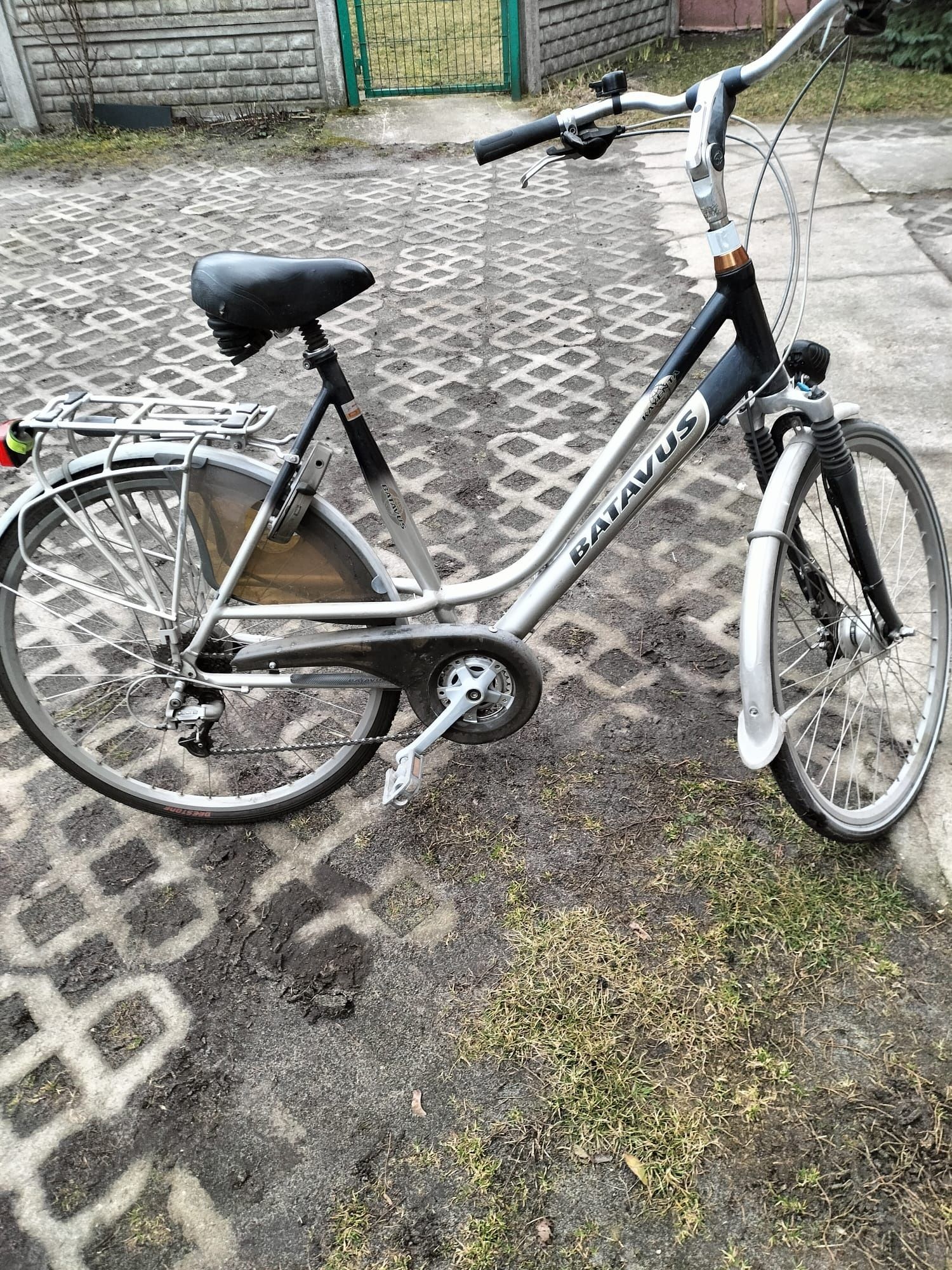 Rower Batavus damka