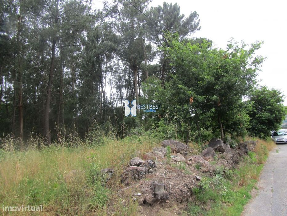 Excelente Terreno, C/9600 M2, Junto Á Didax Em Cruz, Famalicão