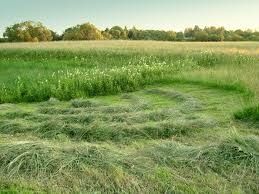Покос трави в Херсоні для ОСББ та будинків приватних